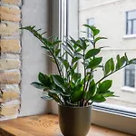 2-bedroom Stabu 87a *