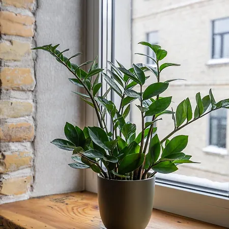 2-bedroom Stabu 87a *