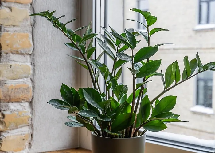 2-bedroom Stabu 87a *